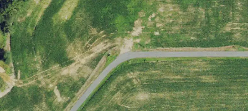Wooded Land