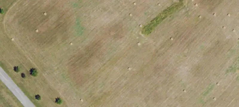 Land/Lot
