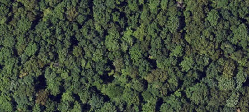 Hunting Land with Cabin