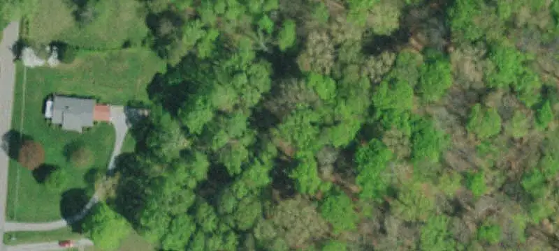 Unimproved Land