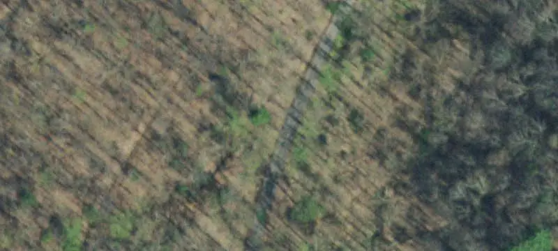 Wooded Residential Land