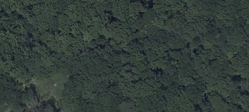 Wooded Land
