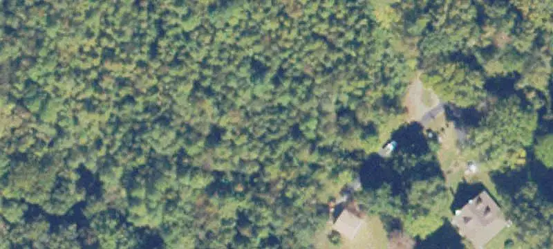Wooded Land