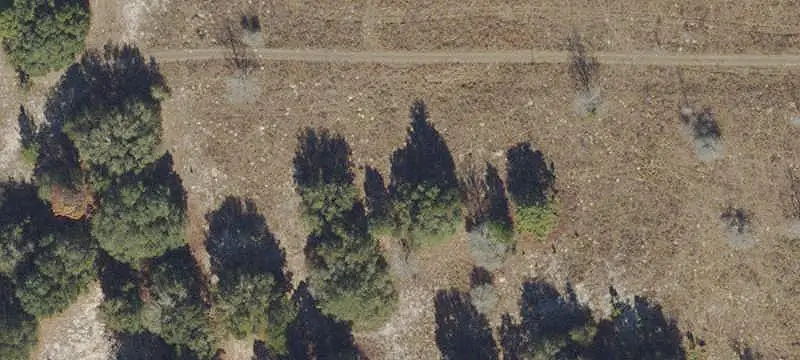 Land