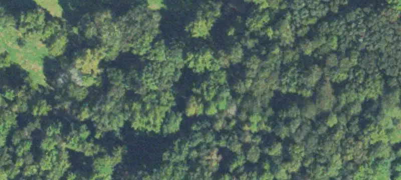 Unimproved Land