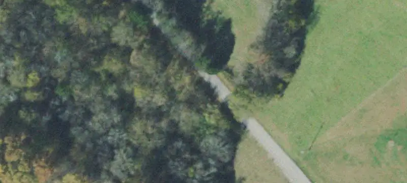 Wooded Hunting Land