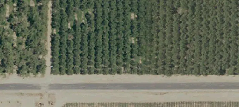 Shasta Orchard Farmland