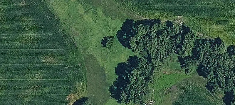 Tillable Farmland with Shelterbelt