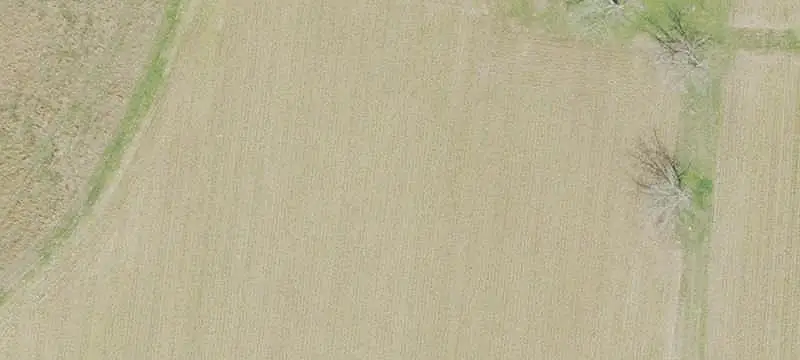 Agricultural Land with Creek