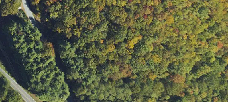 Land/Lot