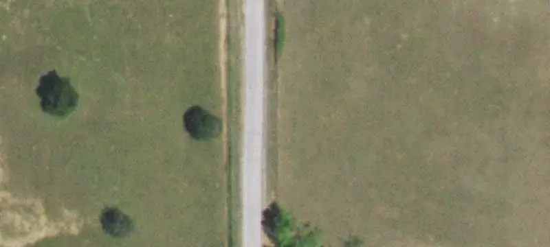 Wilson Land
