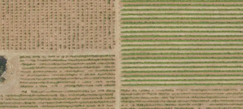 Agriculture