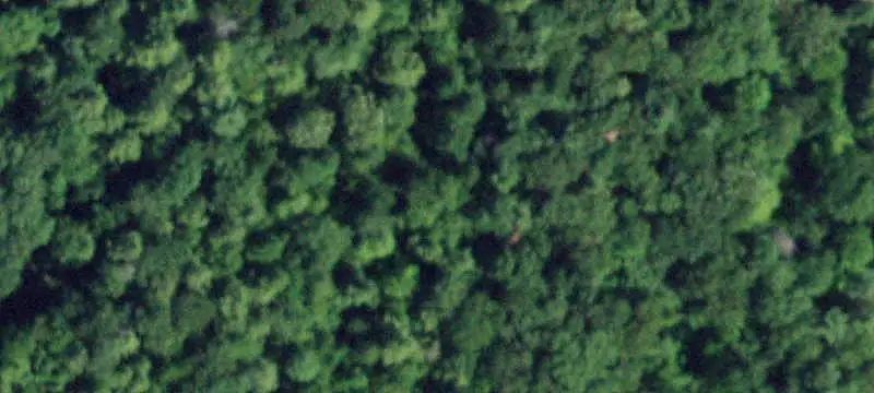 Hunting Land with Cabin