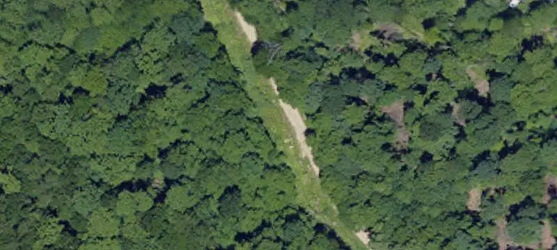 Wooded Recreational Land
