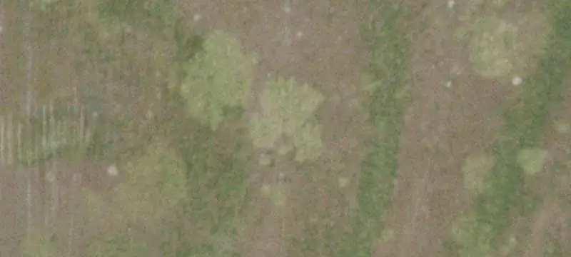 Fenced Agricultural Land