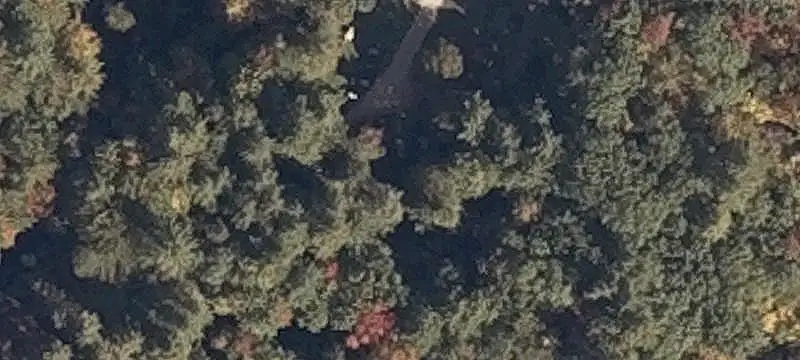 Two-Acre Wooded Land Parcel