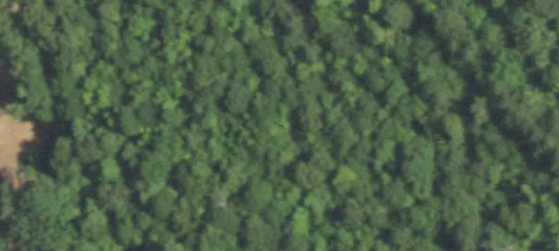 Commercial Land