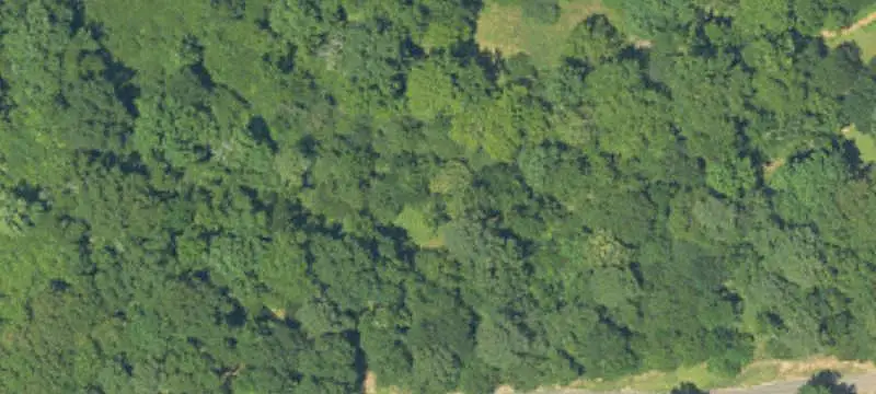 Vacant Land