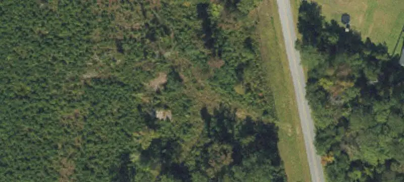 Wooded Land Parcel