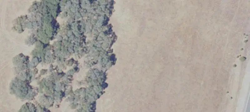 Fenced Agricultural Land