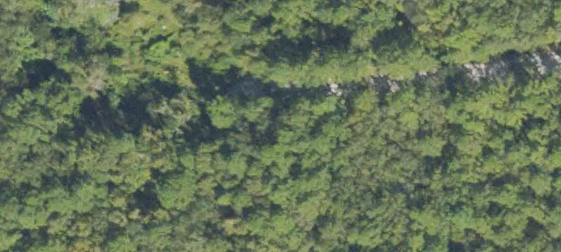 Commercial Land
