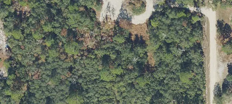 Commercial Land