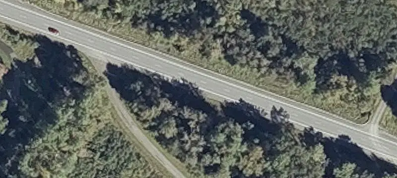 Wooded Land