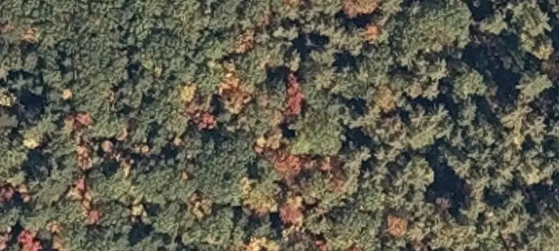 Wooded Recreational Land