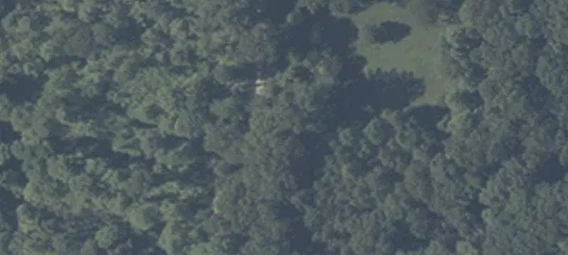 Wooded Recreational Land
