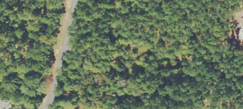 Land/Lot