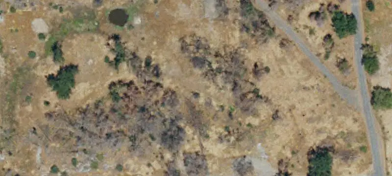 Land