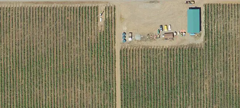 Vineyard Estate with Water Rights