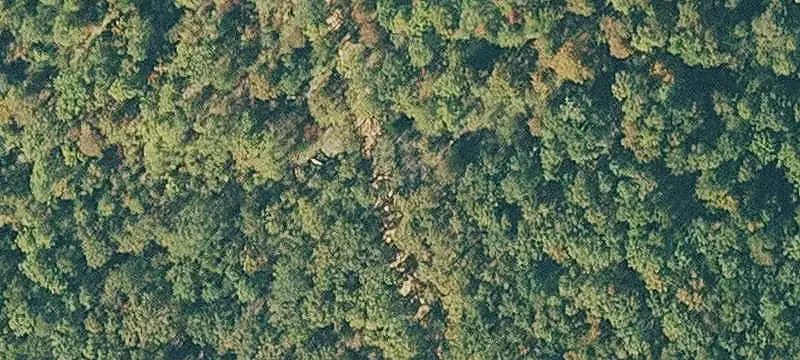 Wooded Recreational Land