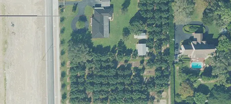 Avocado Grove Farm
