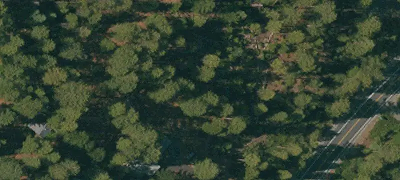 Land/Lot