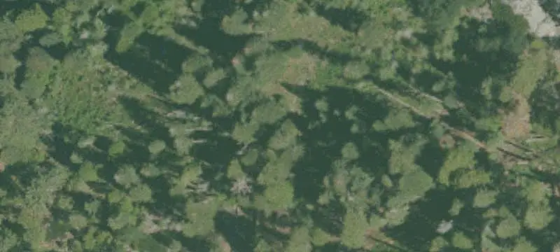 Unimproved Land
