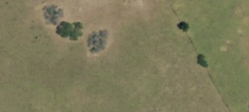 156-Acre Agricultural Property