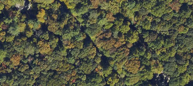 Land/Lot