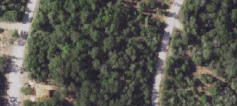 Wooded Land
