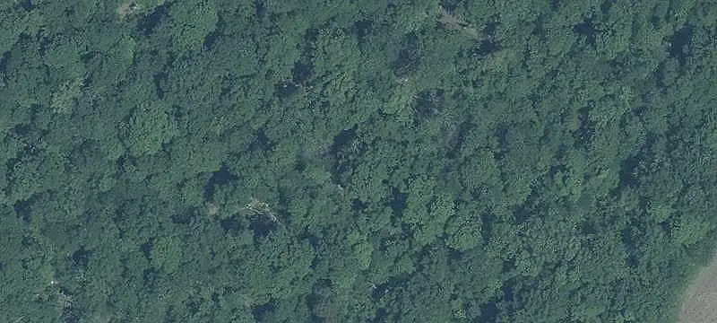 Unimproved Land