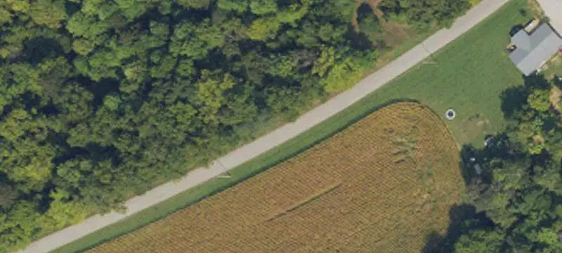 Wooded Land Parcel