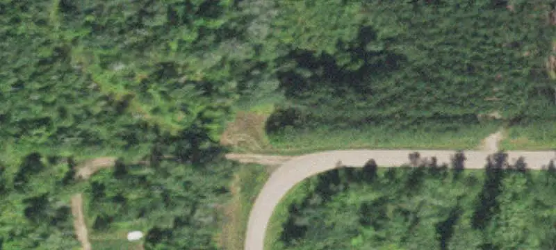 Forestry-Zoned Land