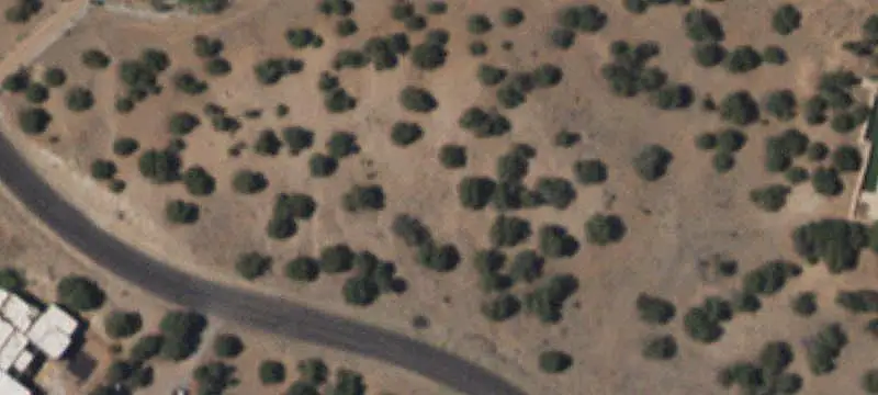 Land