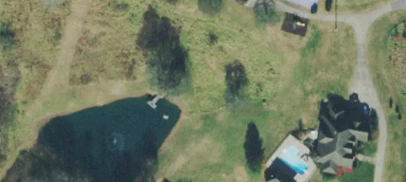 Wooded Land