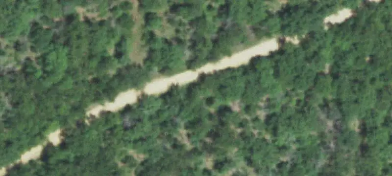 Hunting Land with Oak Timber