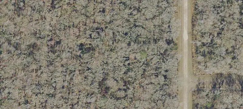 Wooded Recreational Land