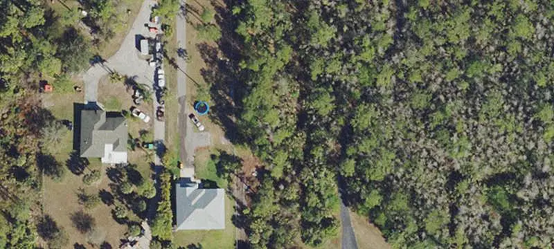 Land with Pine Trees