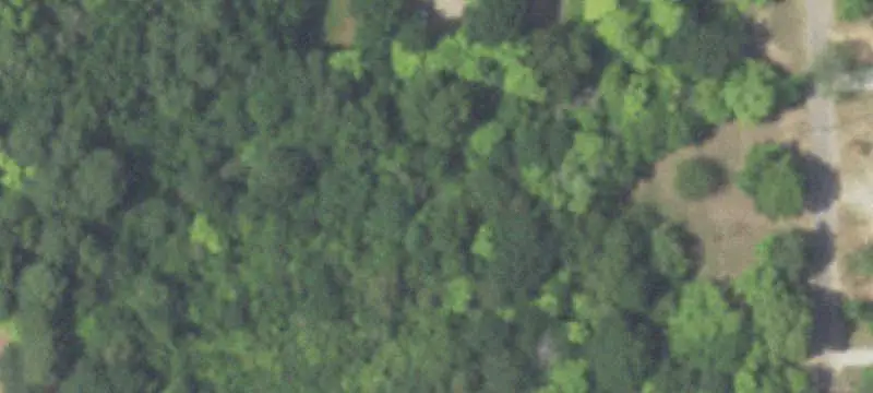 Vacant Land / Lots