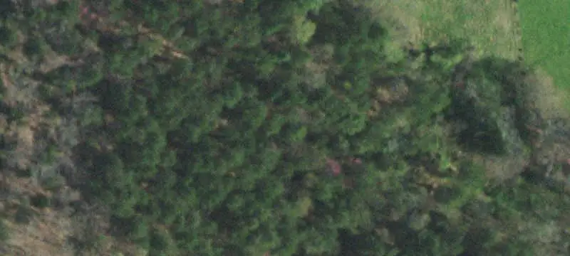 Land/Lot