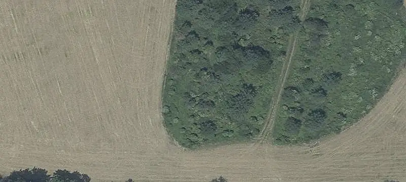 Farm with Ranch-Style Home